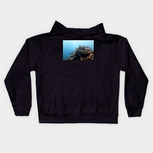 Coral Kids Hoodie